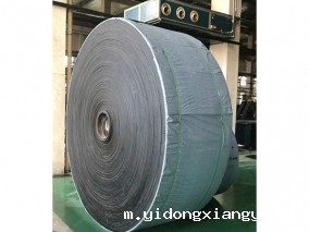 呼和浩特聚酯输送带